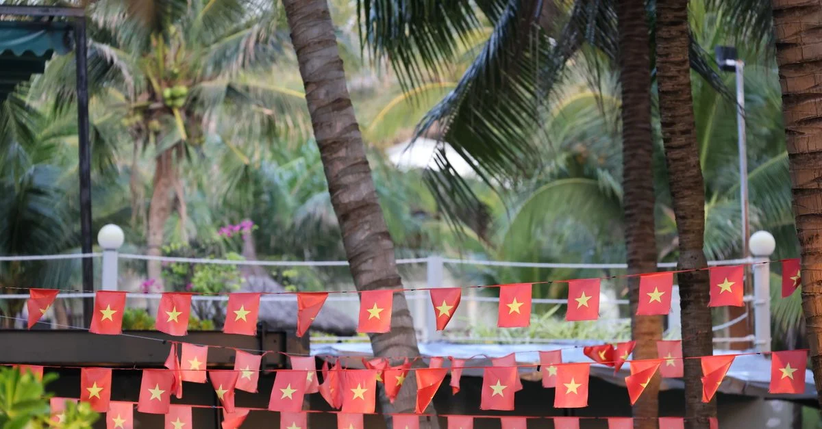 Des rangées de drapeaux vietnamiens au milieu de palmiers tropicaux dans un cadre extérieur vibrant.